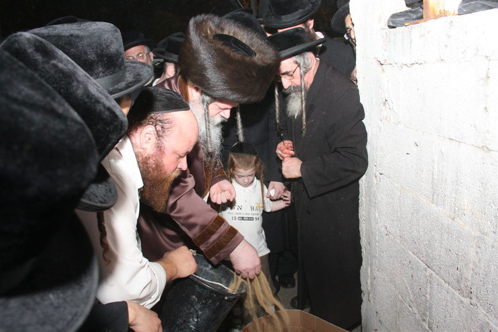 פרמישלאן: האדמו"ר כיפר על תרנגול ענק