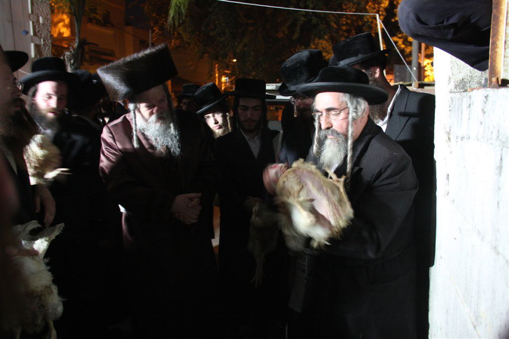 פרמישלאן: האדמו"ר כיפר על תרנגול ענק