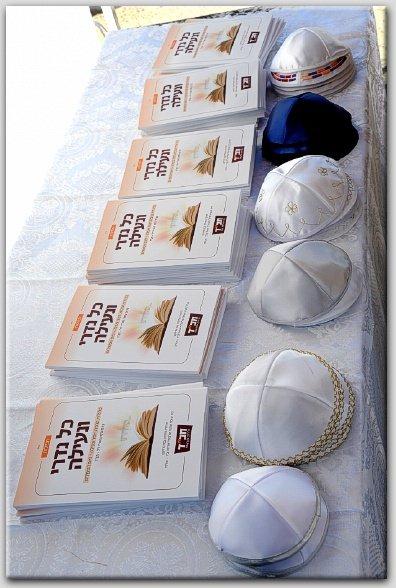 היה מאבק? אלפים ברמת אביב גדשו את אוהל חב"ד