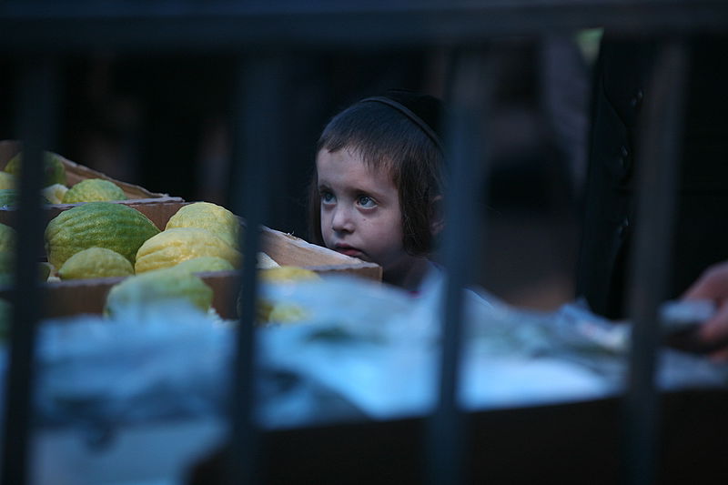 סוכות באוויר > בואו למסע בשוק ארבעת המינים