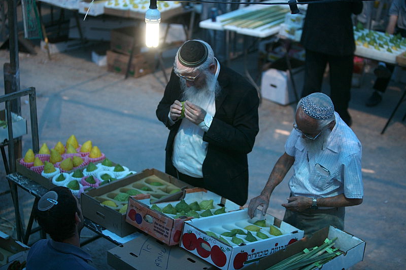סוכות באוויר > בואו למסע בשוק ארבעת המינים
