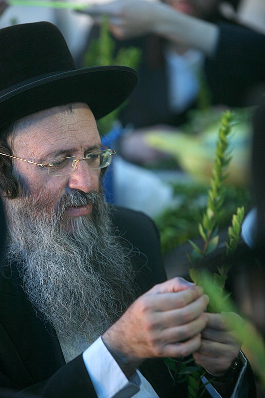 סוכות באוויר > בואו למסע בשוק ארבעת המינים