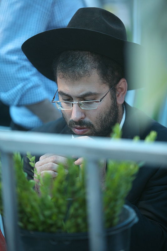 סוכות באוויר > בואו למסע בשוק ארבעת המינים