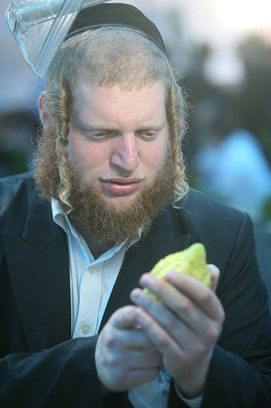 סוכות באוויר > בואו למסע בשוק ארבעת המינים