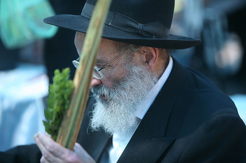 סוכות באוויר > בואו למסע בשוק ארבעת המינים