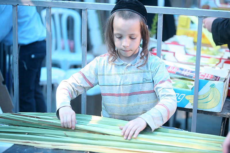 סוכות באוויר > בואו למסע בשוק ארבעת המינים