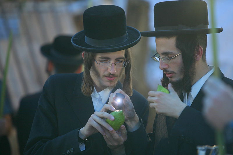 סוכות באוויר > בואו למסע בשוק ארבעת המינים