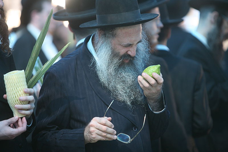 סוכות באוויר > בואו למסע בשוק ארבעת המינים