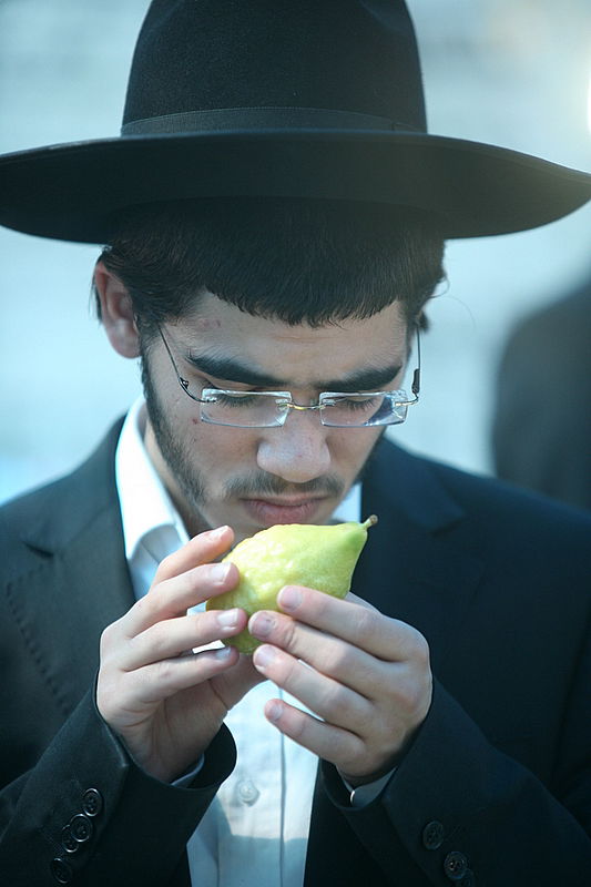 סוכות באוויר > בואו למסע בשוק ארבעת המינים