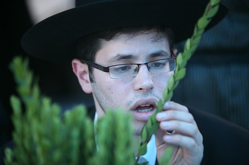 סוכות באוויר > בואו למסע בשוק ארבעת המינים