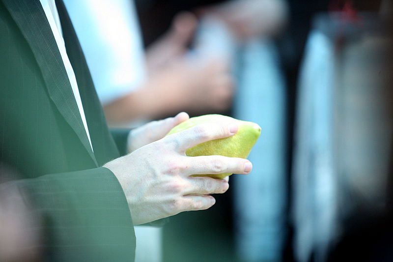 סוכות באוויר > בואו למסע בשוק ארבעת המינים