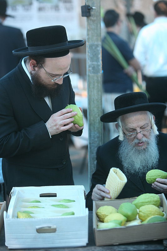 סוכות באוויר > בואו למסע בשוק ארבעת המינים