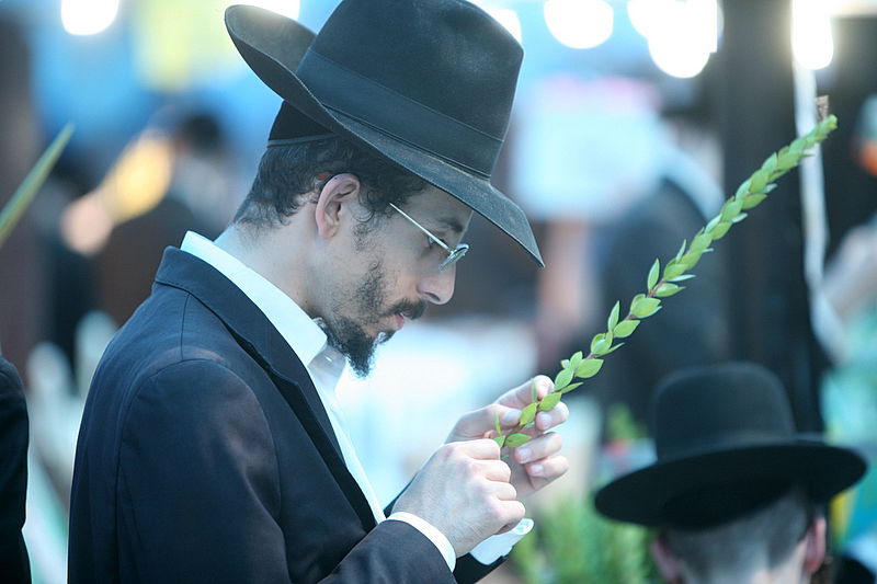 סוכות באוויר > בואו למסע בשוק ארבעת המינים