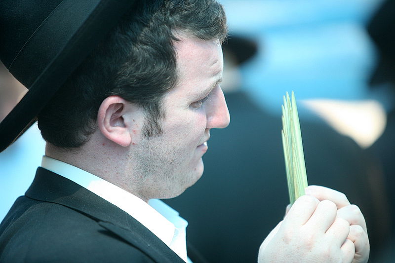 סוכות באוויר > בואו למסע בשוק ארבעת המינים