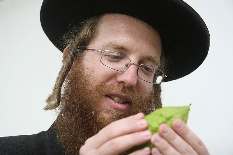 הסוד של 'אתרוגי ליובאוויטש' ●  גלריית ענק