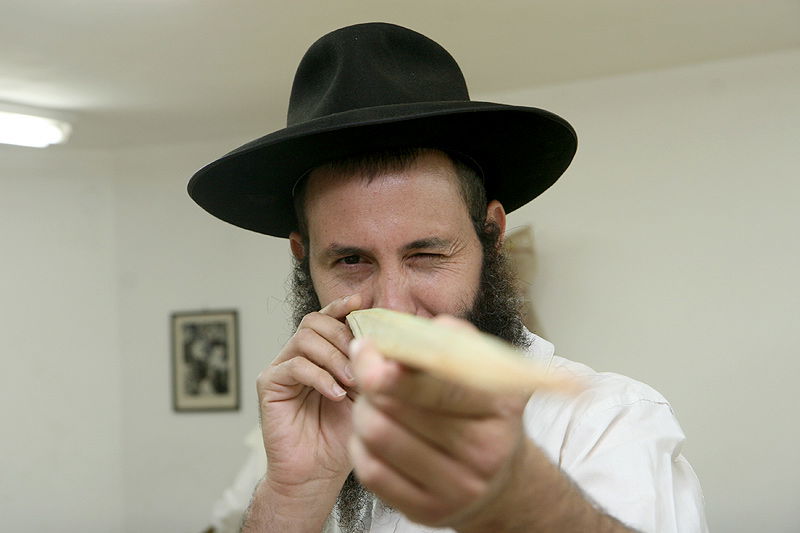 הסוד של 'אתרוגי ליובאוויטש' ●  גלריית ענק