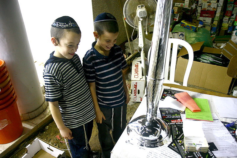 הסוד של 'אתרוגי ליובאוויטש' ●  גלריית ענק