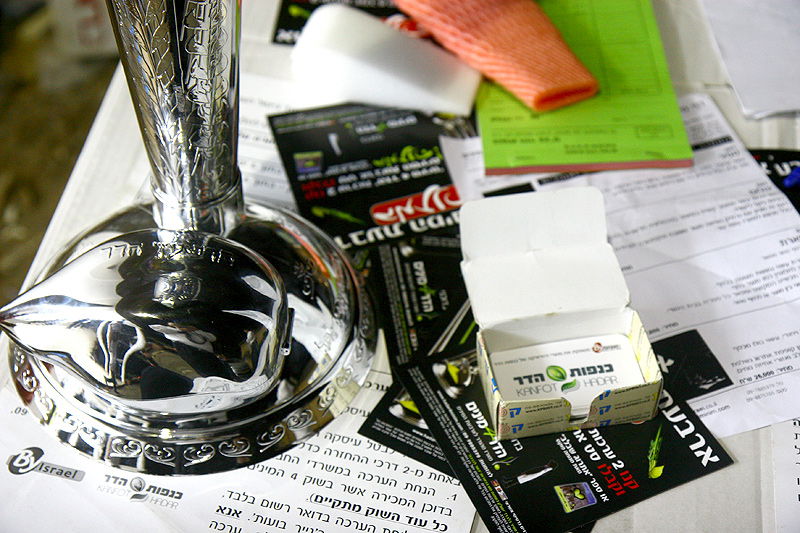 הסוד של 'אתרוגי ליובאוויטש' ●  גלריית ענק