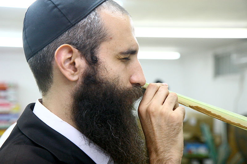 הסוד של 'אתרוגי ליובאוויטש' ●  גלריית ענק