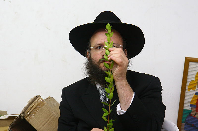 הסוד של 'אתרוגי ליובאוויטש' ●  גלריית ענק