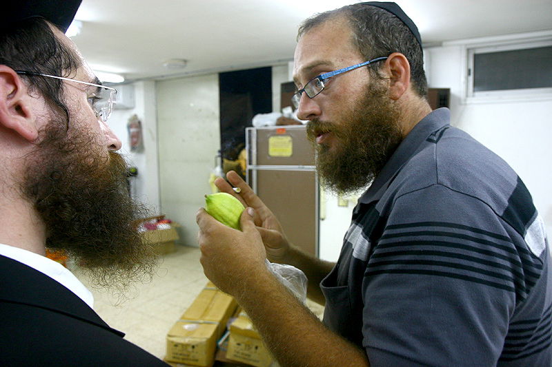 הסוד של 'אתרוגי ליובאוויטש' ●  גלריית ענק