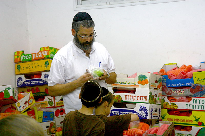 הסוד של 'אתרוגי ליובאוויטש' ●  גלריית ענק