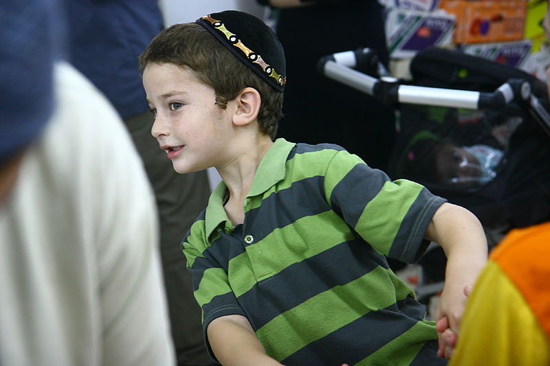 הסוד של 'אתרוגי ליובאוויטש' ●  גלריית ענק