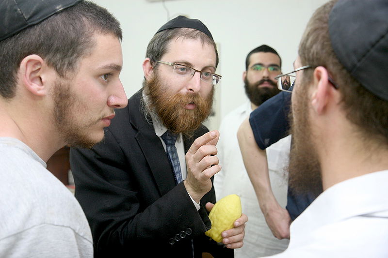 הסוד של 'אתרוגי ליובאוויטש' ●  גלריית ענק