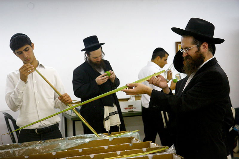 הסוד של 'אתרוגי ליובאוויטש' ●  גלריית ענק