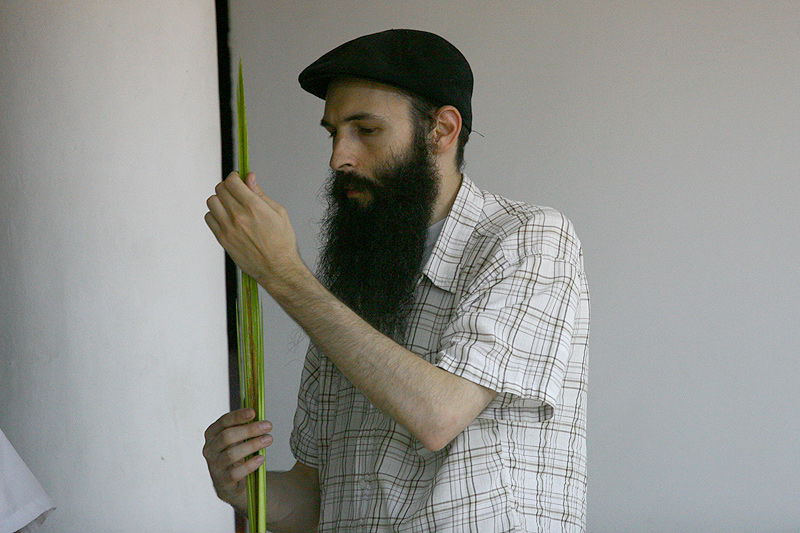 הסוד של 'אתרוגי ליובאוויטש' ●  גלריית ענק