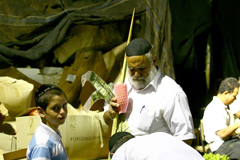 הסוד של 'אתרוגי ליובאוויטש' ●  גלריית ענק