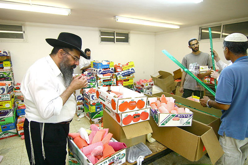 הסוד של 'אתרוגי ליובאוויטש' ●  גלריית ענק