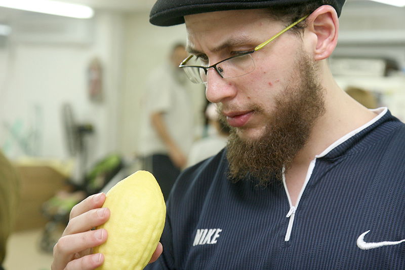 הסוד של 'אתרוגי ליובאוויטש' ●  גלריית ענק