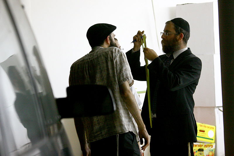 הסוד של 'אתרוגי ליובאוויטש' ●  גלריית ענק