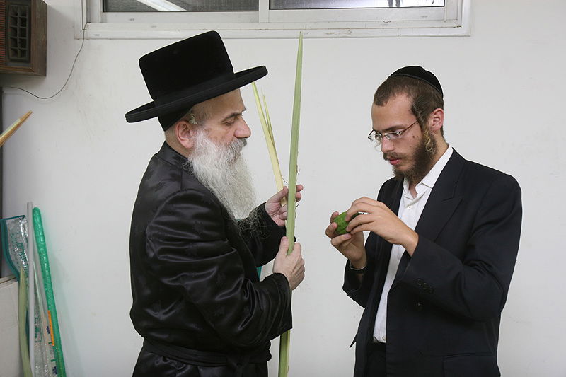 הסוד של 'אתרוגי ליובאוויטש' ●  גלריית ענק