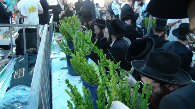 צפו: מה חיפשו קוראנים במאה שערים?