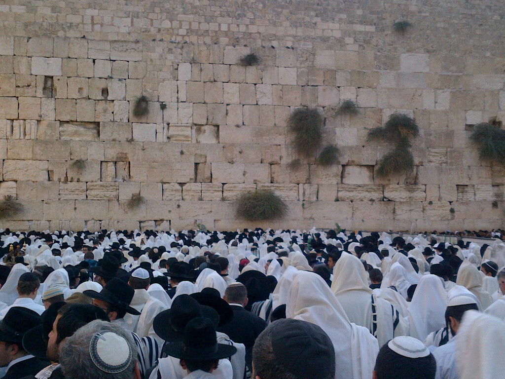 כיכר היום: תפילת הושענא רבה בכותל המערבי
