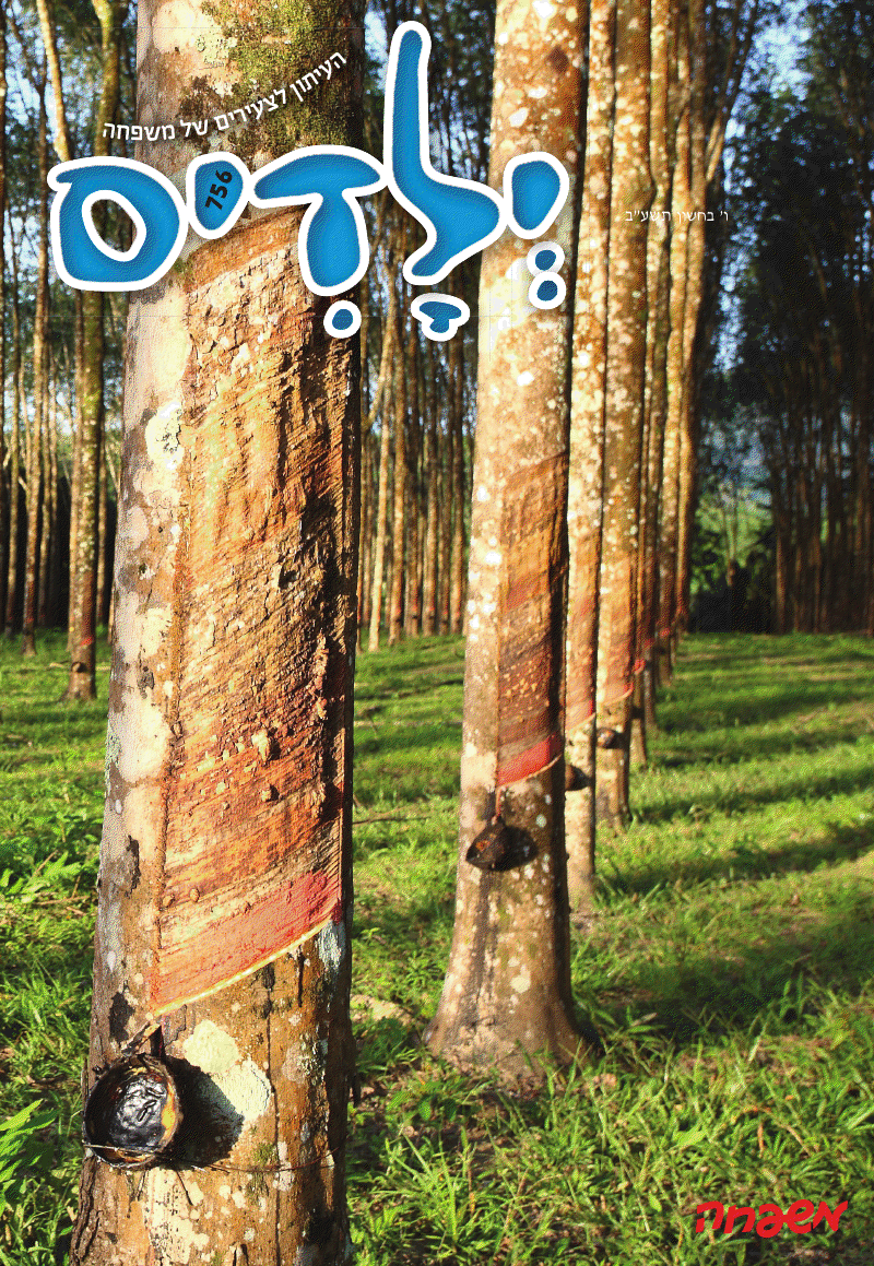 צפו: שערי השבועונים החרדיים