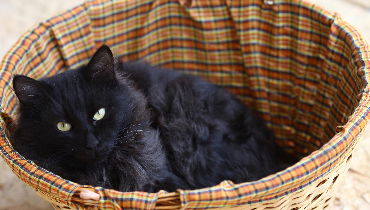 טעות ממדרגה ראשונה / טור אישי