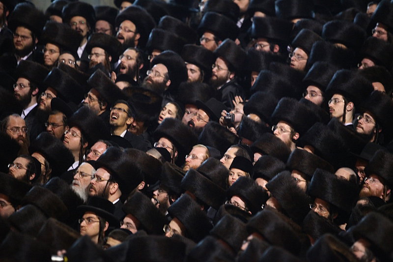 ענבי הגפן בענבי הגפן: חתונה היסטורית בחצר ויז'ניץ ●  תיעוד