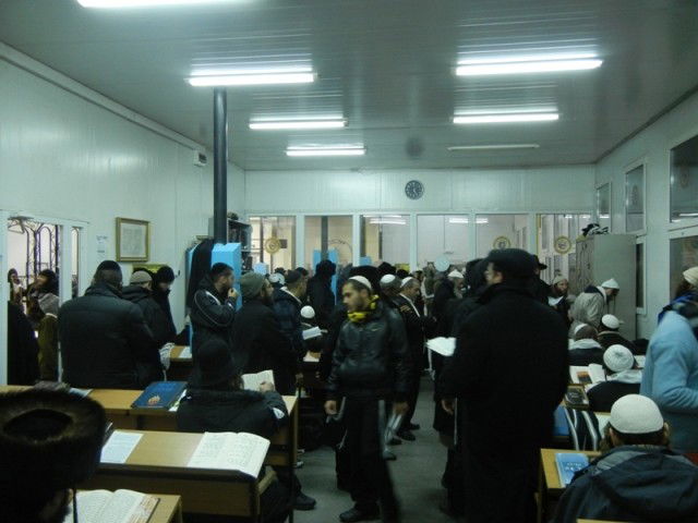 אלף חסידים שהו באומן בשבת חנוכה