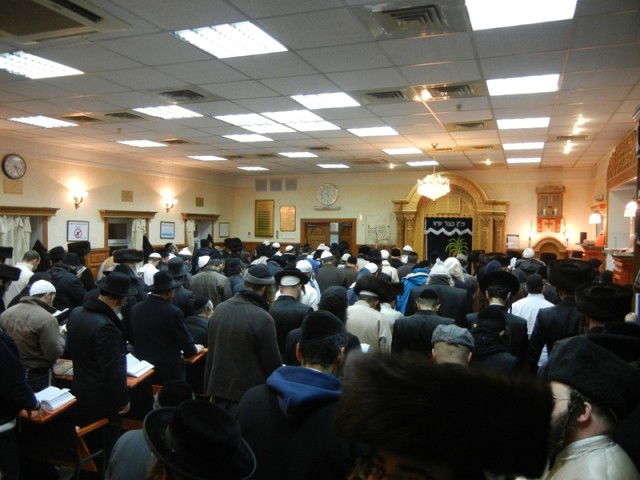 אלף חסידים שהו באומן בשבת חנוכה