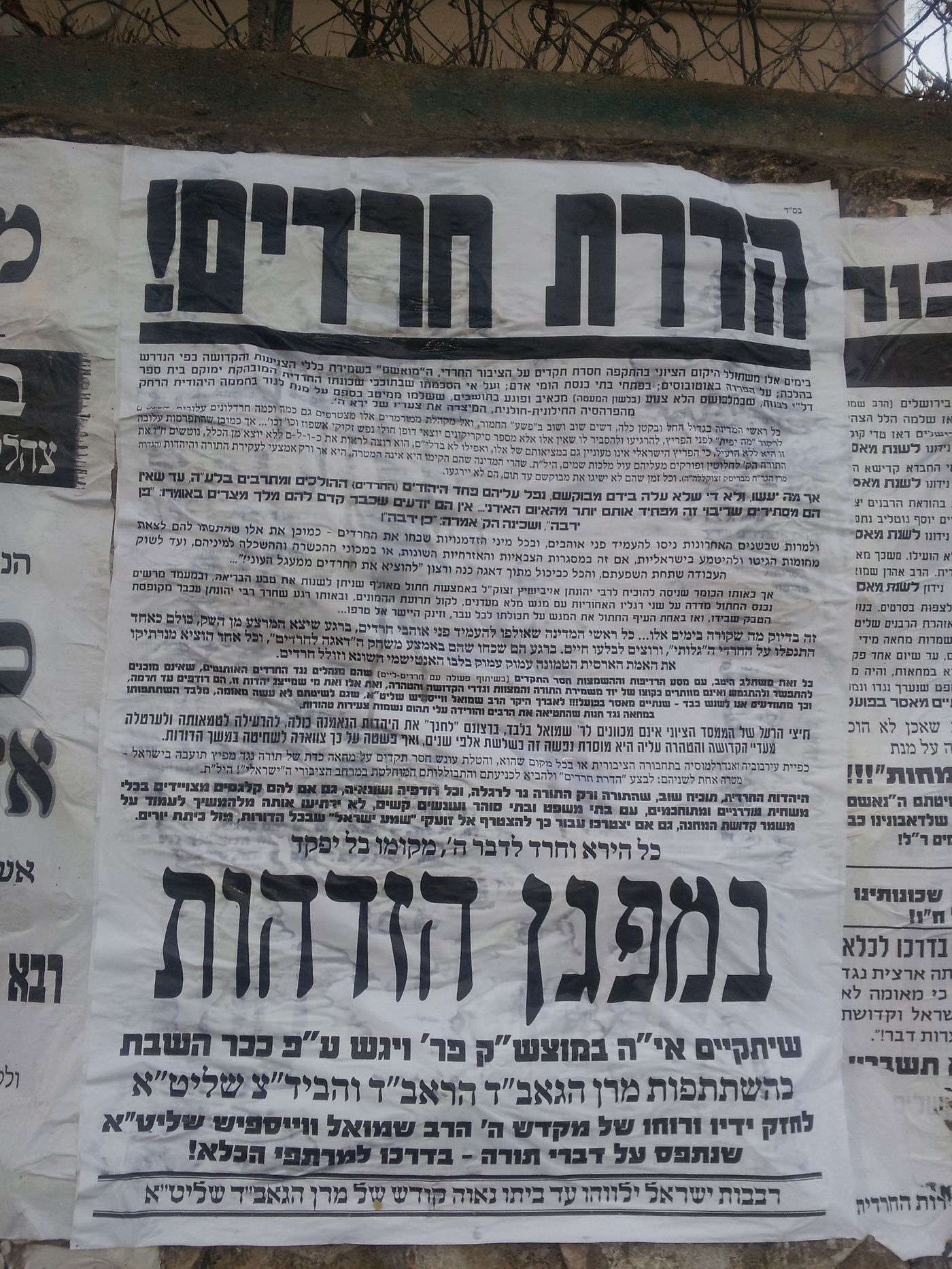 הדרת חרדים: העדה החרדית יוצאת לקרב