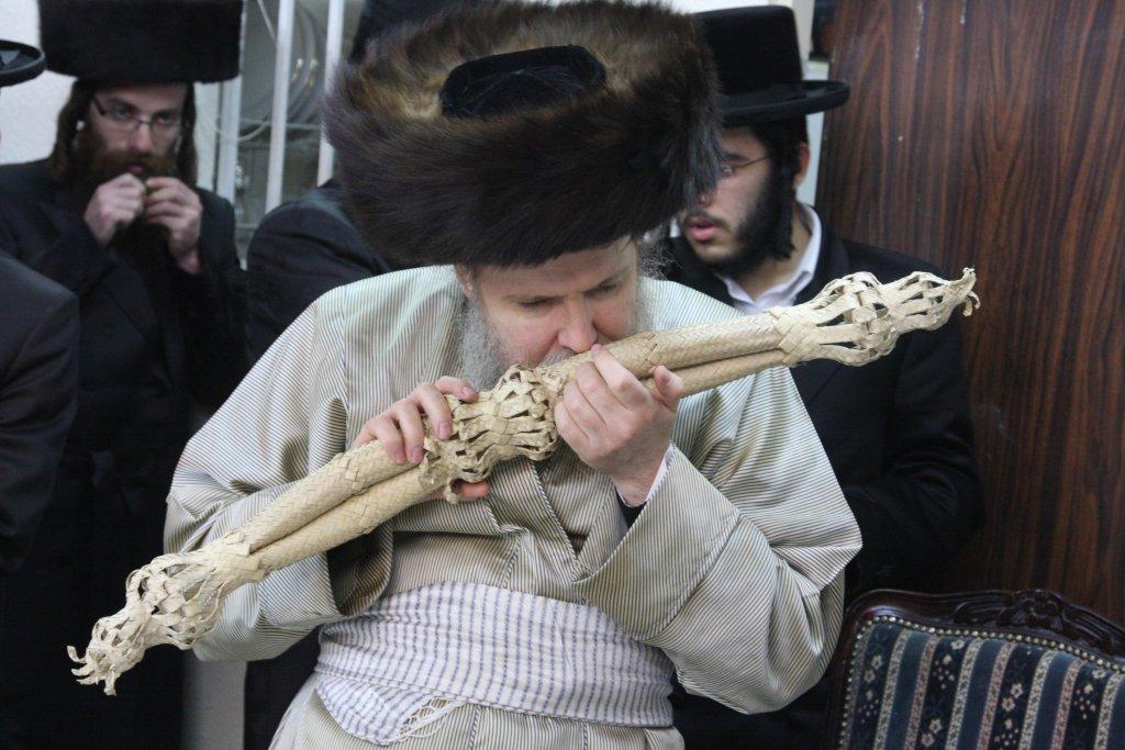 צפו בגלריה: מוצאי שבת בבית מדרשו של האדמו"ר מלעלוב ארה"ב