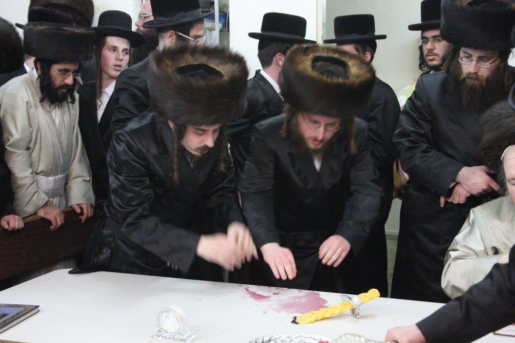 צפו בגלריה: מוצאי שבת בבית מדרשו של האדמו"ר מלעלוב ארה"ב