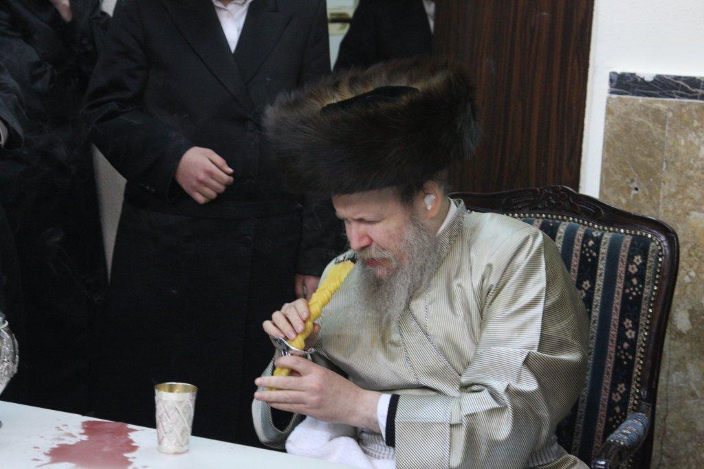 צפו בגלריה: מוצאי שבת בבית מדרשו של האדמו"ר מלעלוב ארה"ב