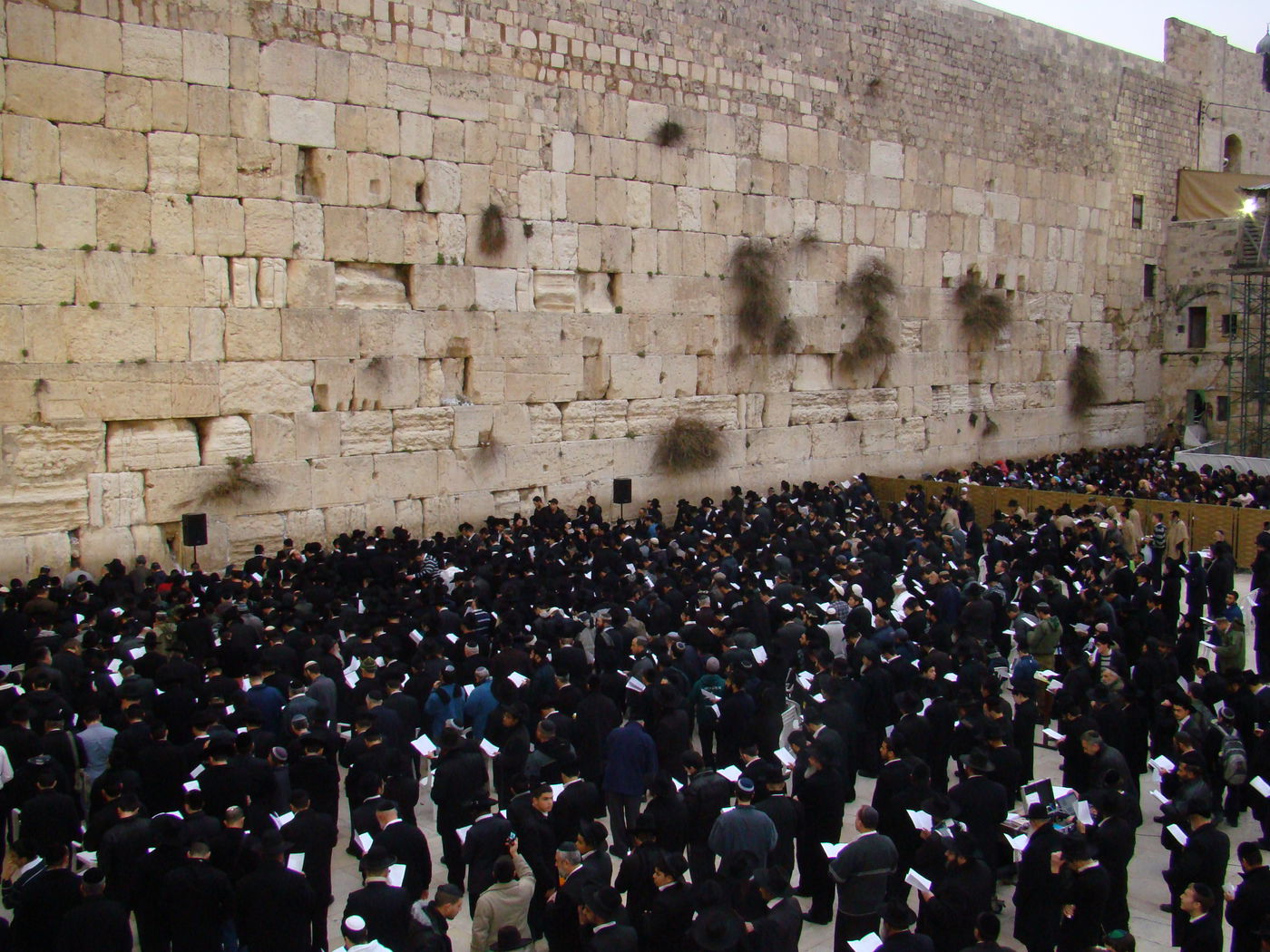 דמעות בכותל ● אלפים העתירו תפילה לרפואת הרב יעקב יוסף