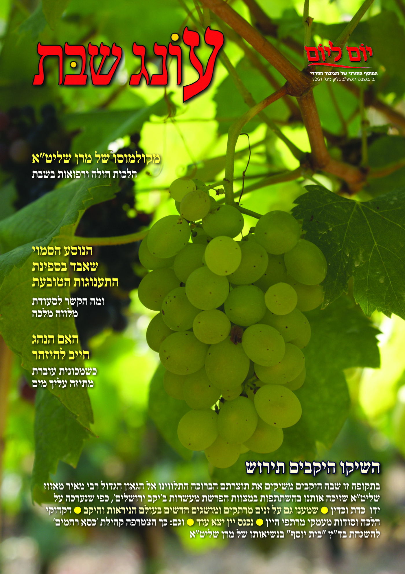 צפו: שערי השבועונים החרדיים