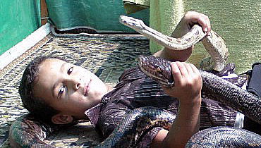 אילוסטרציה. למצולם אין קשר לנאמר בידיעה