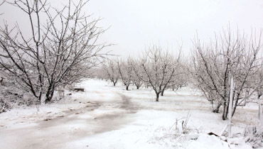 מזג אוויר סוער ברחבי ישראל,  סופת שלגים משתוללת בחרמון